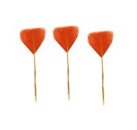 Orange Stripped Turkey Feathers - Short x 5