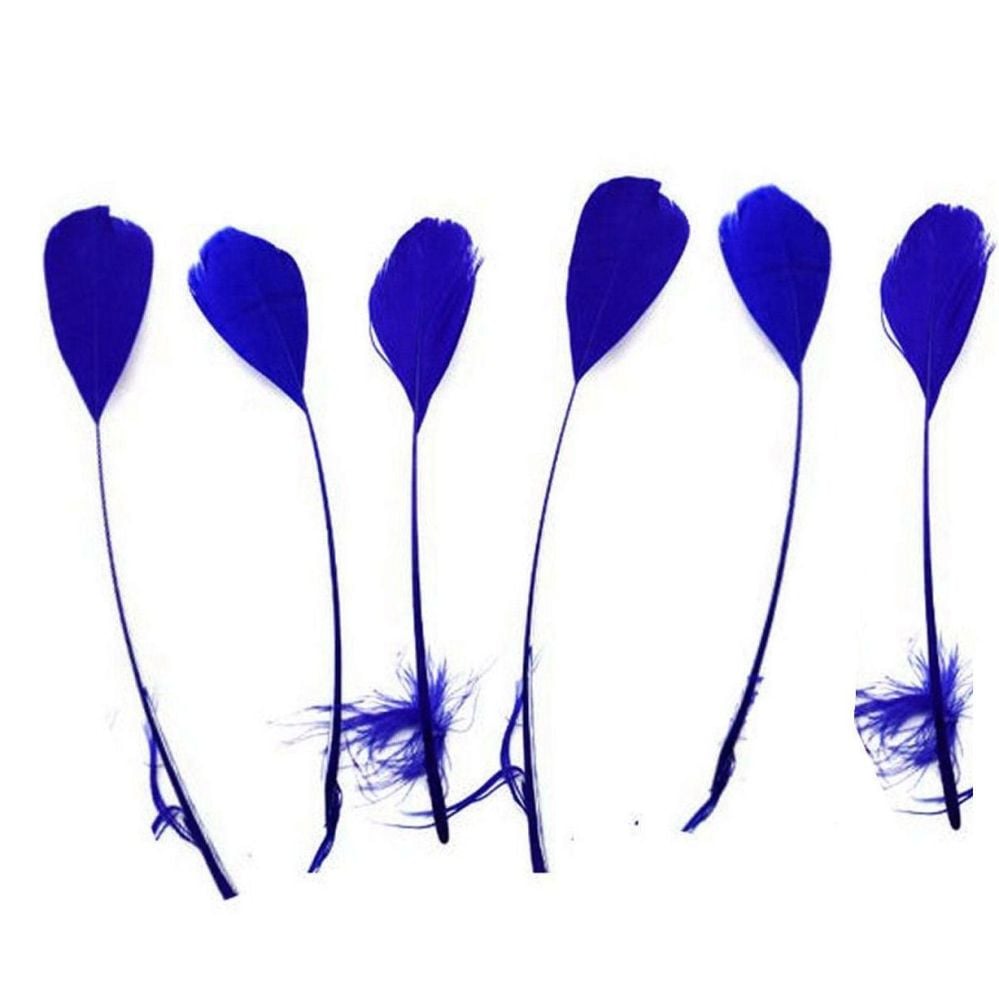 Royal Blue Stripped Coque Tail Rooster Feathers x 10