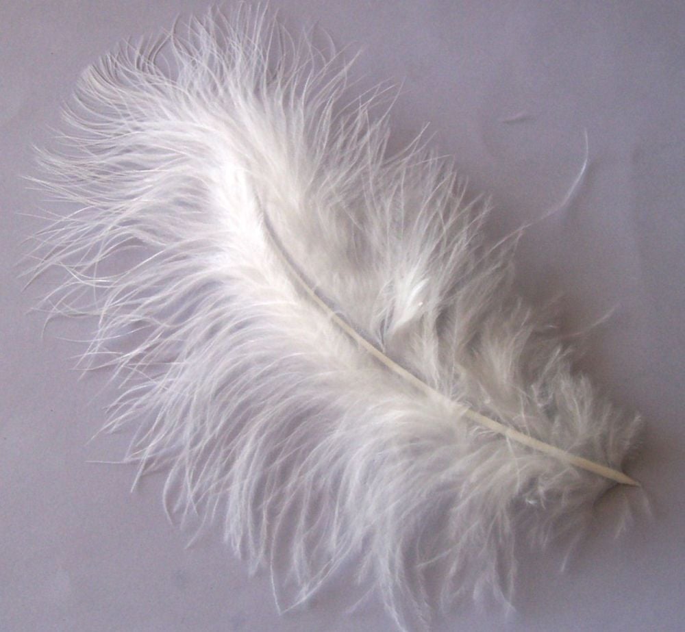 Off White Marabou Feathers - Clearout, Seconds