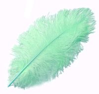 Mint Green Ostrich Feather