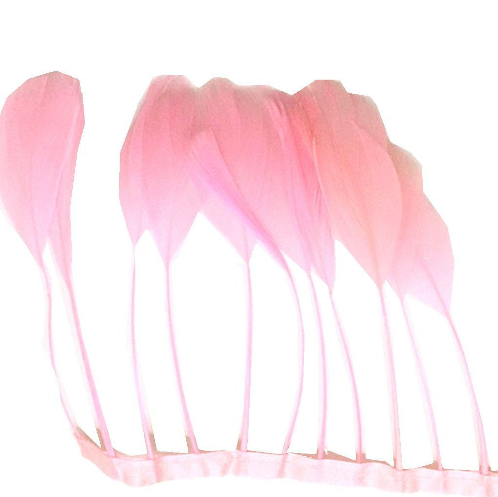 Baby Pink Stripped Coque Tail Rooster Feathers x 10