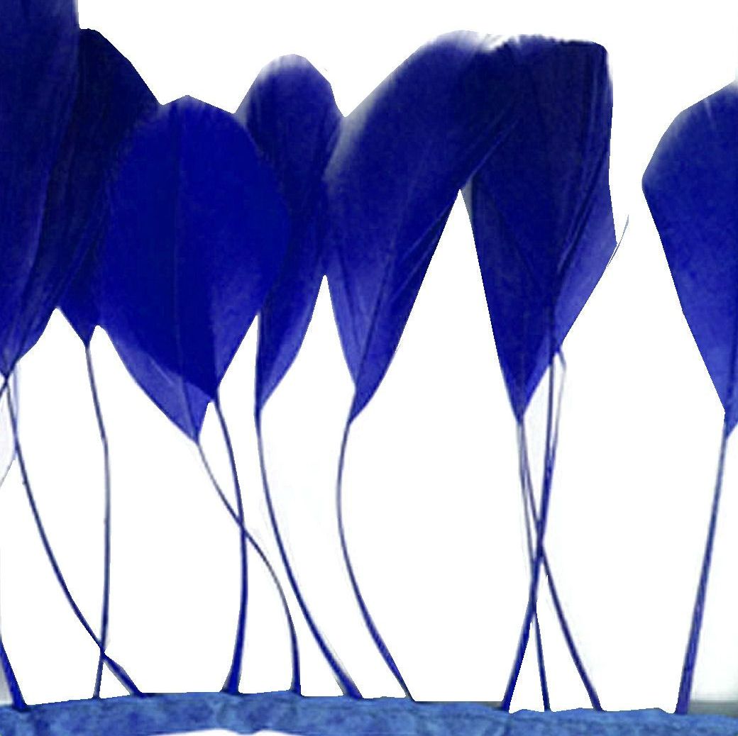 Royal Blue Stripped Coque Tail Rooster Feathers x 10