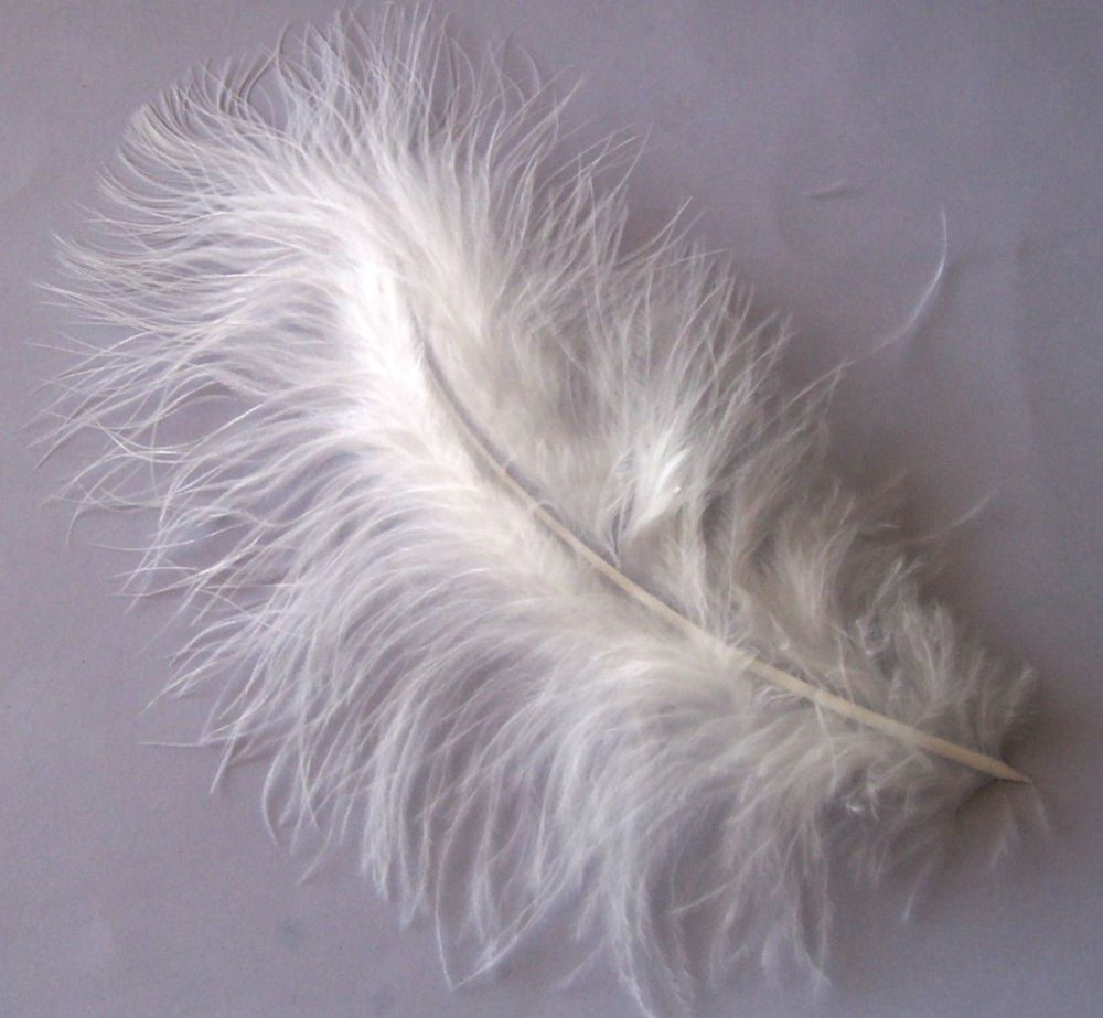 White Medium Marabou Feathers