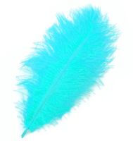 Turquoise Blue Ostrich Feather