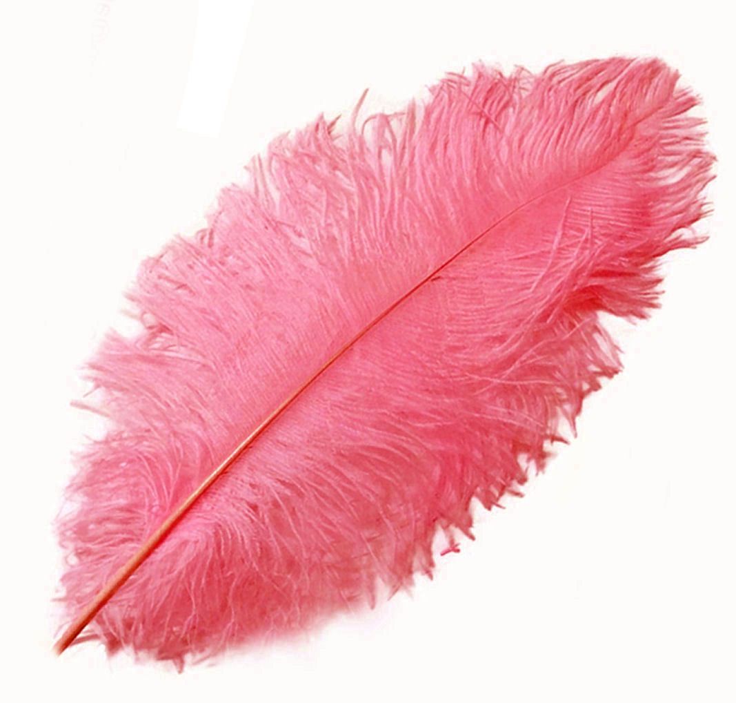 Strawberry Pink Ostrich Feather