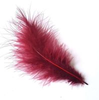 Burgundy Marabou Feathers 