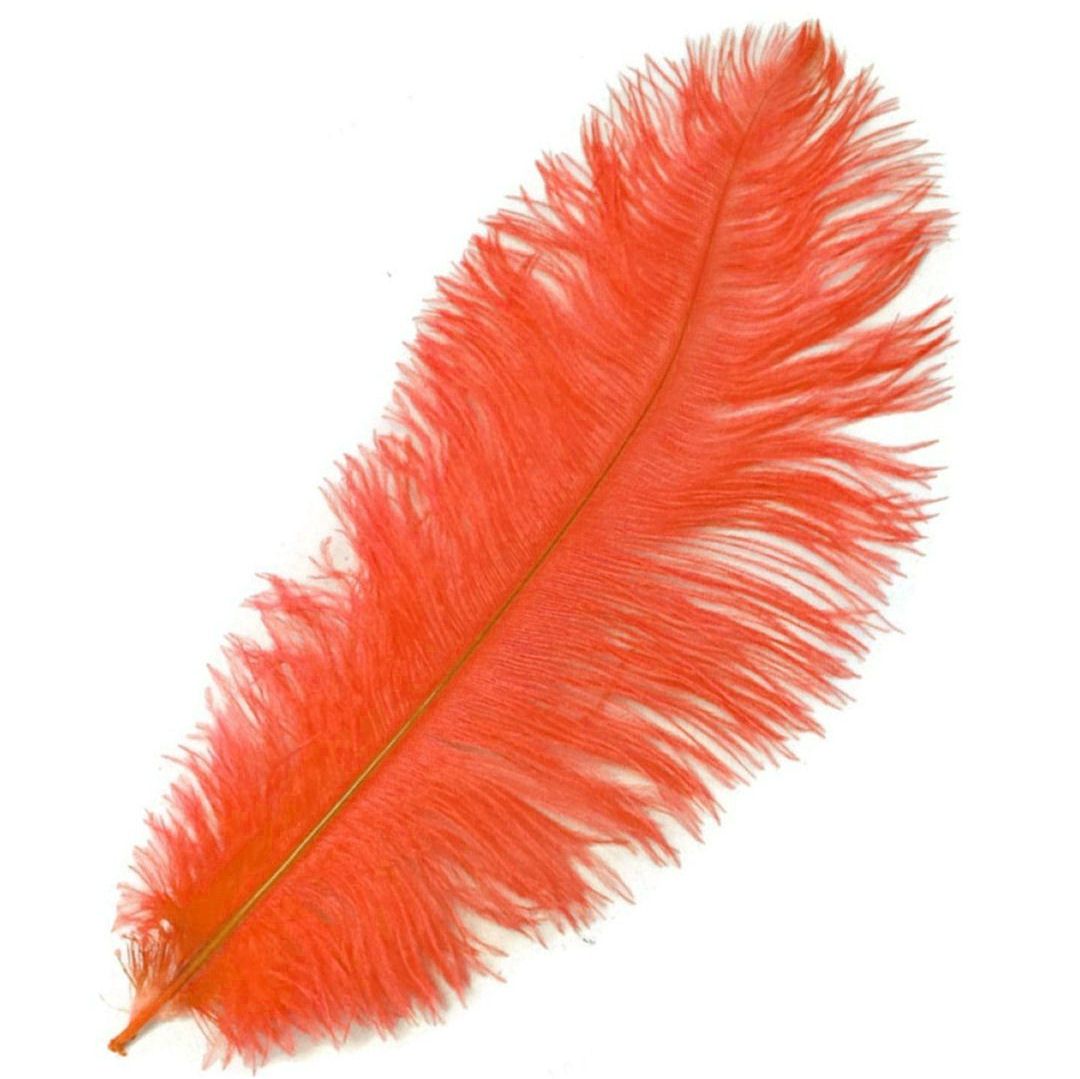 Coral Red Ostrich Feather