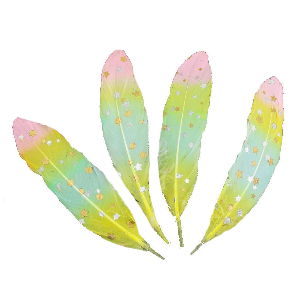 Pastel Rainbow Goose Quill Feathers x 1