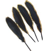 Black and Gold Goose Quill Feathers x 4
