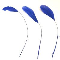 Royal Blue Stripped Coque Tail Rooster Feathers x 6