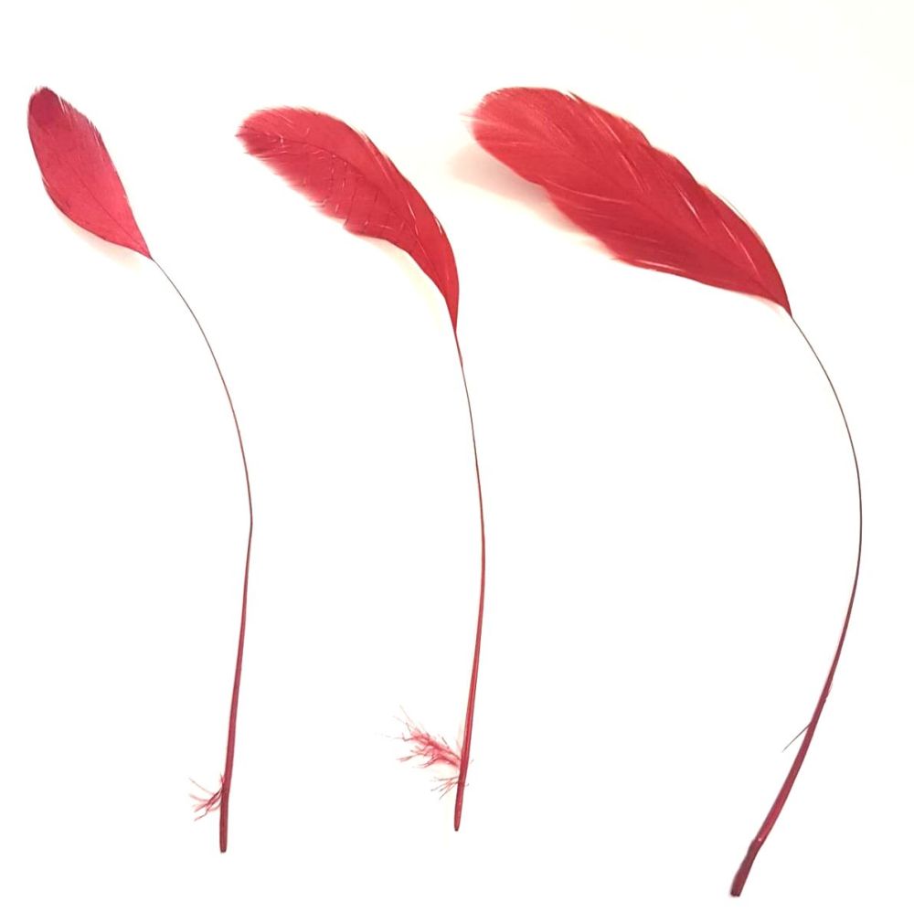 Red Wine Stripped Coque Tail Rooster Feathers x 6