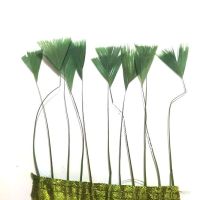 Olive Green Stripped Turkey Feathers, Strung x 10