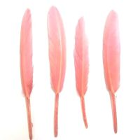Rose Pale Pink Goose Quill Feathers x 10