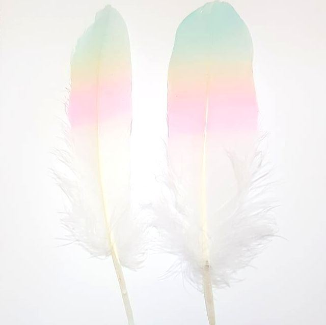 Blue, Yellow, Pink and White Goose Quill Feathers x 4