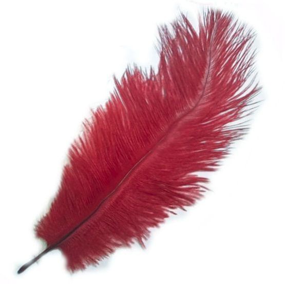 Dark Red Ostrich Drab Feathers | Feather Planet