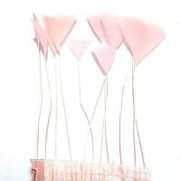 Baby Pink Stripped Turkey Feathers, Strung x 10