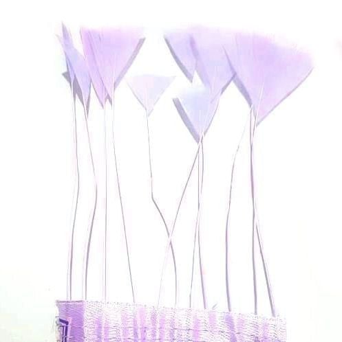 Lilac Stripped Turkey Feathers, Strung x 10