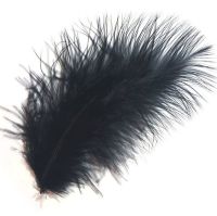 Black Marabou Feathers