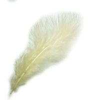 Cream Marabou Feathers