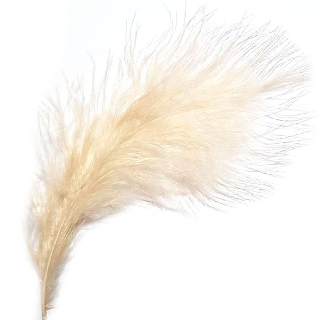 Champagne Marabou Feathers
