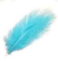 Turquoise Marabou Feathers
