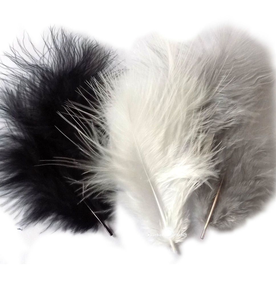 Zucker Assorted Pheasant Tails Mix Dyed Feathers - 8 - 14 inch - 25pcs - Harvest Mix