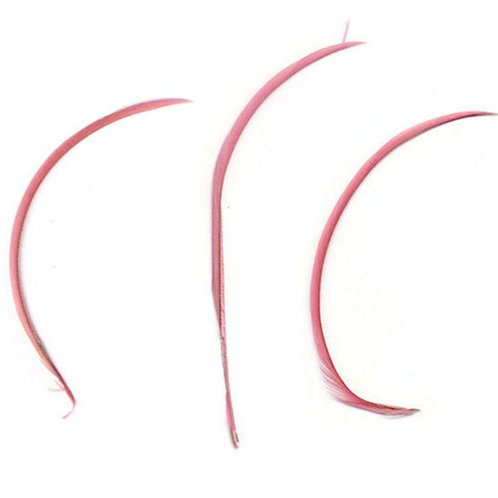 Rose Pink Goose Biot Feather 