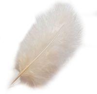 Pink Champagne Marabou Feathers 