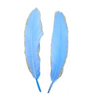 Pale Blue and Gold Goose Quill Feathers x 4
