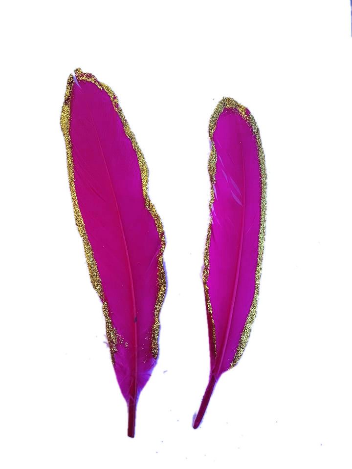 Dark Pink and Gold Goose Quill Feathers x 4