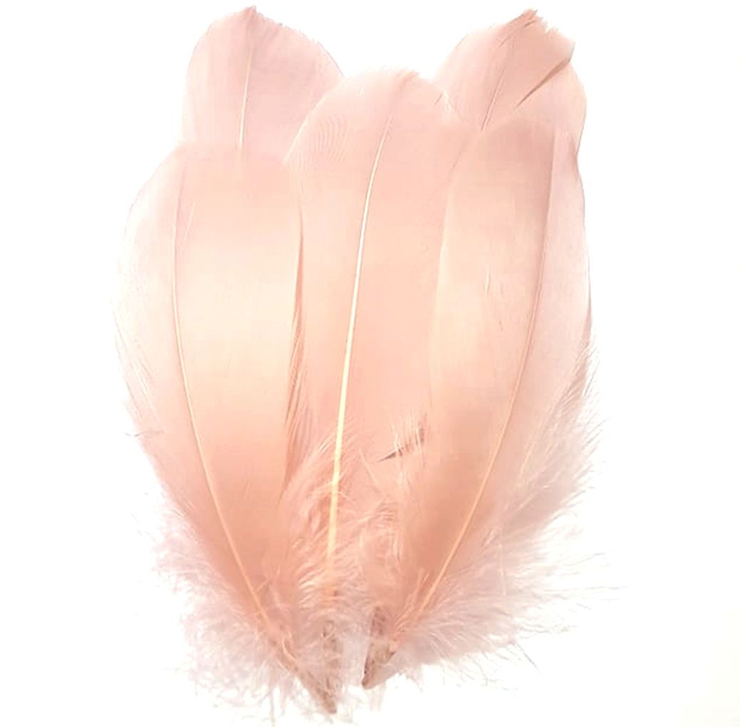Dusky Pink Parried Goose Pallette Feathers x 5