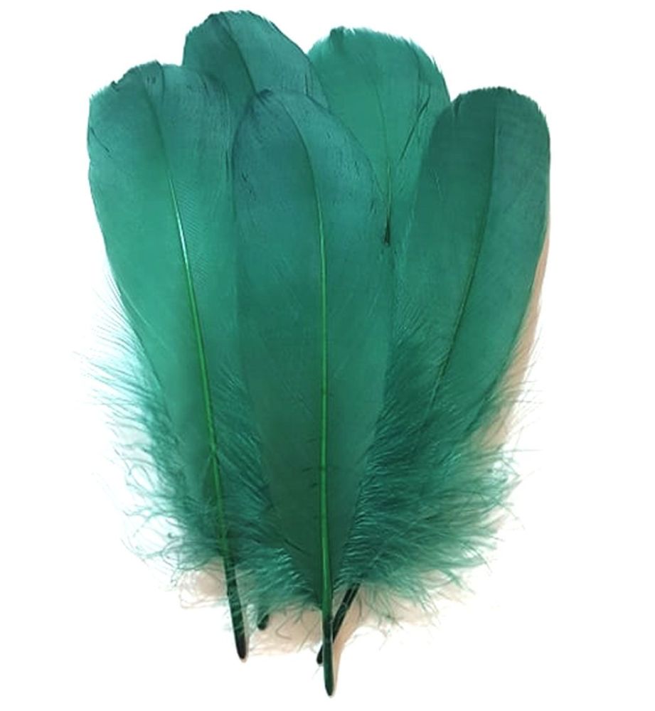 Deep Green Parried Goose Pallette Feathers x 5