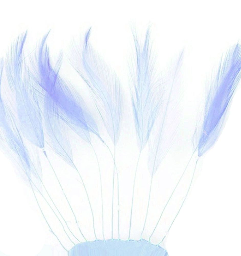 Pale Blue Rooster Feathers Hackles Stripped x 10