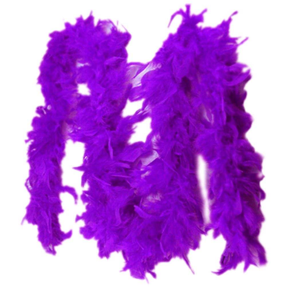 Purple Feather Boa Fashion Accessory