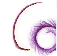 Purple Grape Goose Biot Feather x 1