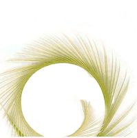 Green Eau De Nil Goose Biot Feather  x 1