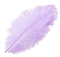 Lilac Ostrich Feather