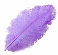 Lavender Ostrich Feather