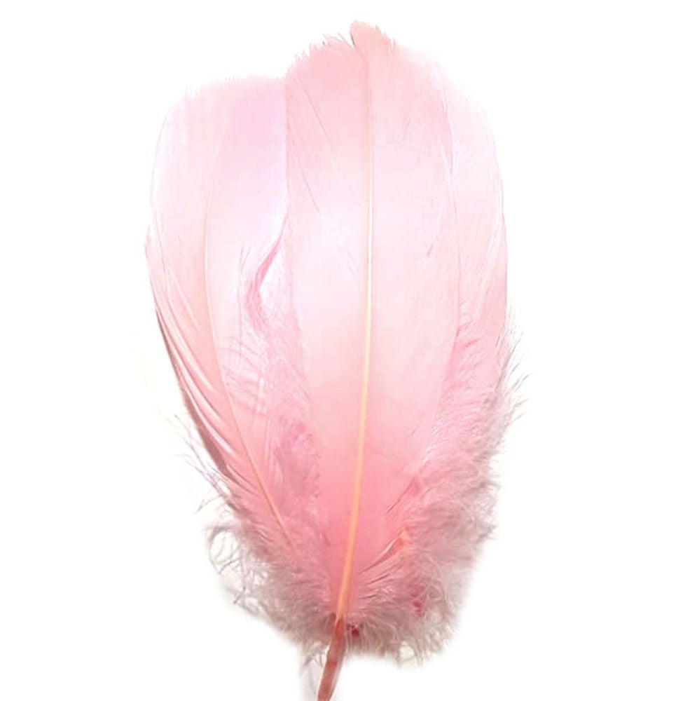 Baby Pink Parried Goose Pallette Feathers x 5