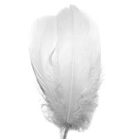 White Parried Goose Feathers x 5