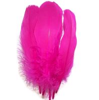 Shocking Pink Parried Goose Pallette Feathers x 5