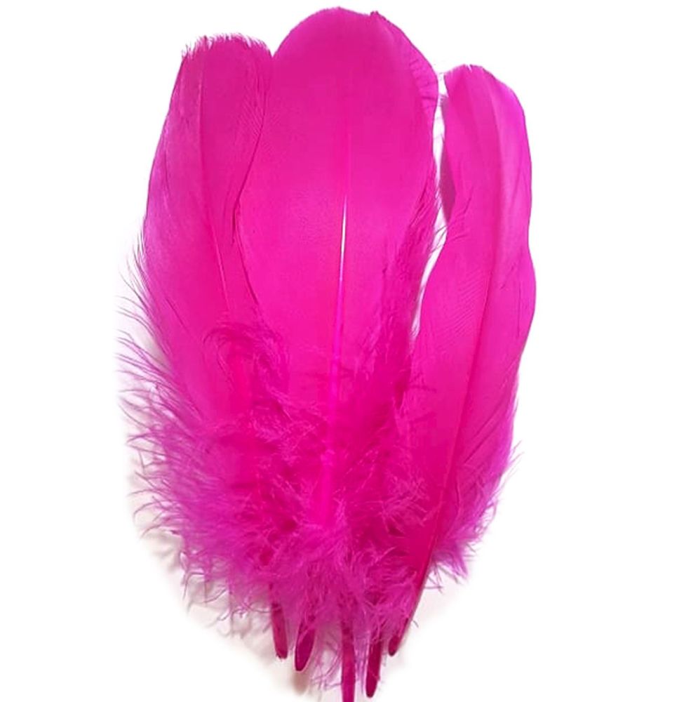 Shocking Pink Parried Goose Pallette Feathers x 5