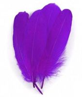 Purple Parried Goose Pallette Feathers x 5