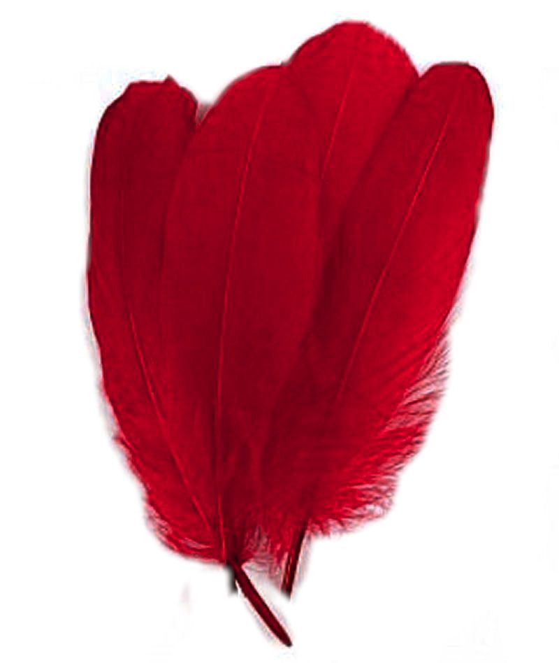 Dark Red Parried Goose Pallette Feathers x 5