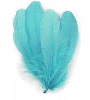 Turquoise Parried Goose Pallette Feathers x 5