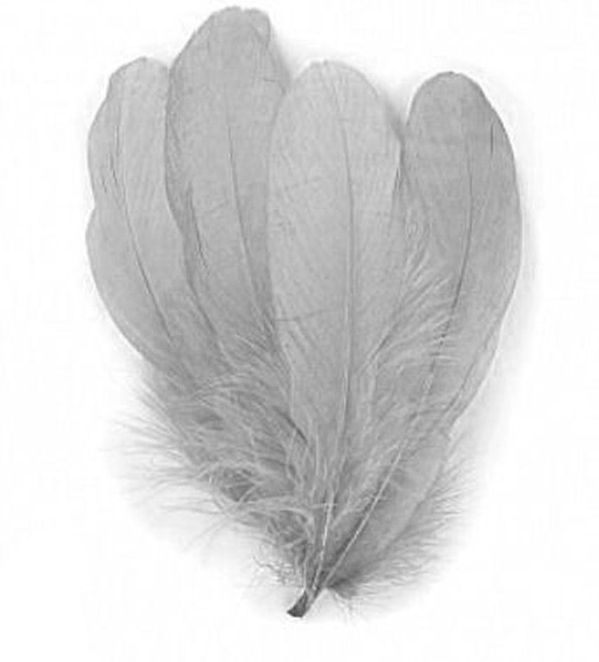 Silver Grey Parried Goose Pallette Feathers x 5