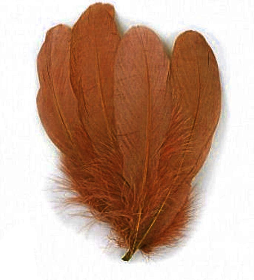 Brown Parried Goose Pallette Feathers x 5
