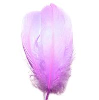 Lilac Parried Goose Pallette Feathers x 5