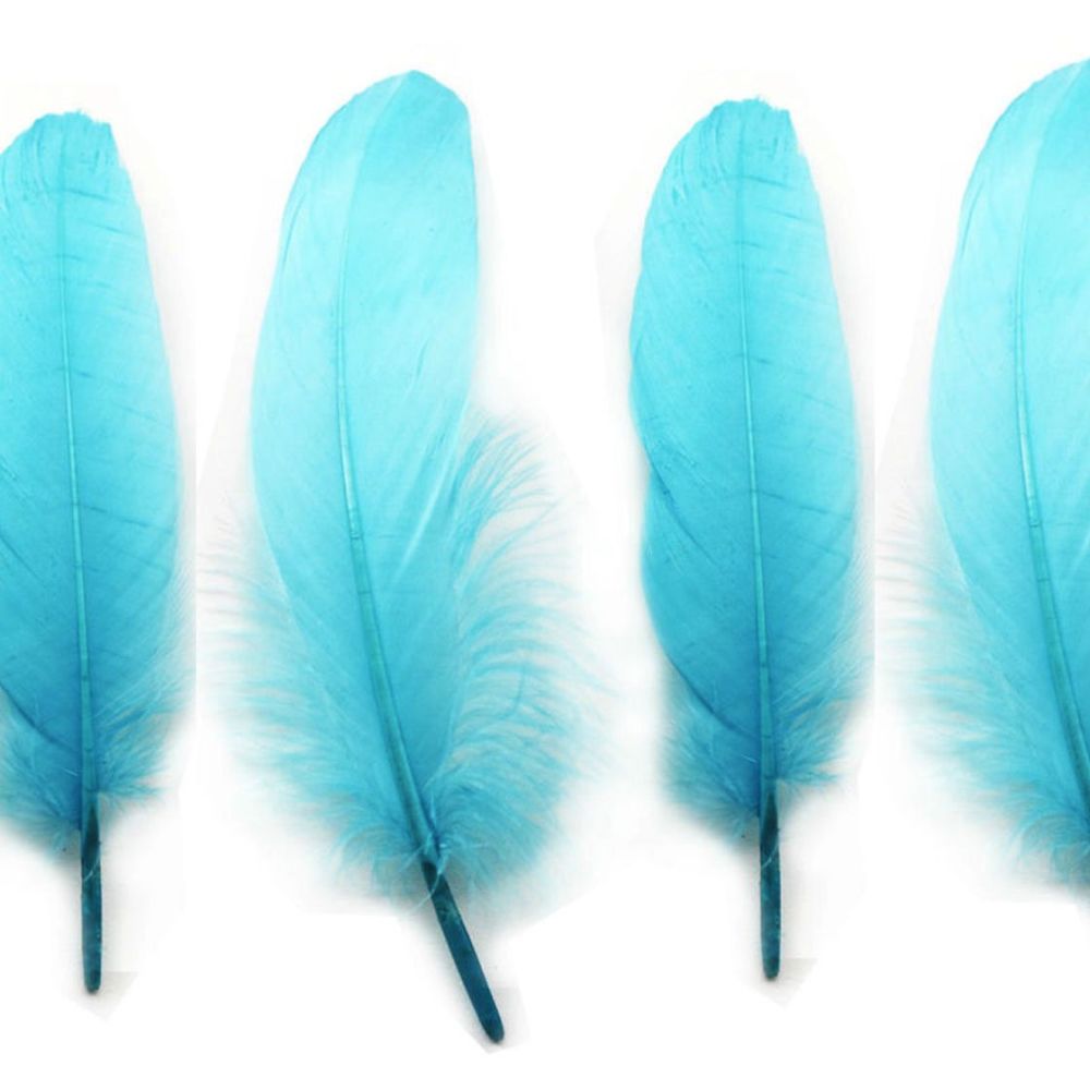 Turquoise Blue Goose Quill Feathers x 4