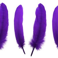 Purple Goose Quill Feathers x 4 